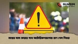 মায়ের সঙ্গে ফেরার পথে অটোরিকশাচাপায় প্রাণ গেল শিশুর
