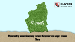 মীরসরাইয়ে কাভার্ডভ্যানের পেছনে পিকআপের ধাক্কা, চালক নিহত
