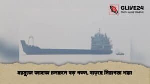 হরমুজে জাহাজ চলাচলে বড় পতন, বাড়ছে নিরাপত্তা শঙ্কা