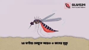 ২৪ ঘণ্টায় ডেঙ্গুতে আরও ৩ জনের মৃত্যু ২৪ ঘণ্টায় ডেঙ্গুতে আরও ৩ জনের মৃত্যু