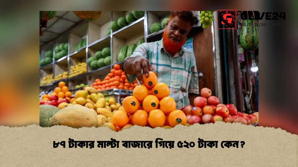 ৮৭ টাকার মাল্টা বাজারে গিয়ে ৫২০ টাকা কেন? 4 ৮৭ টাকার মাল্টা বাজারে গিয়ে ৫২০ টাকা কেন